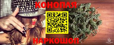 Альфа ПВП Сланцы