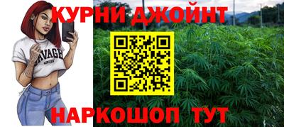 Альфа ПВП Сланцы