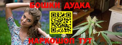 Альфа ПВП Сланцы